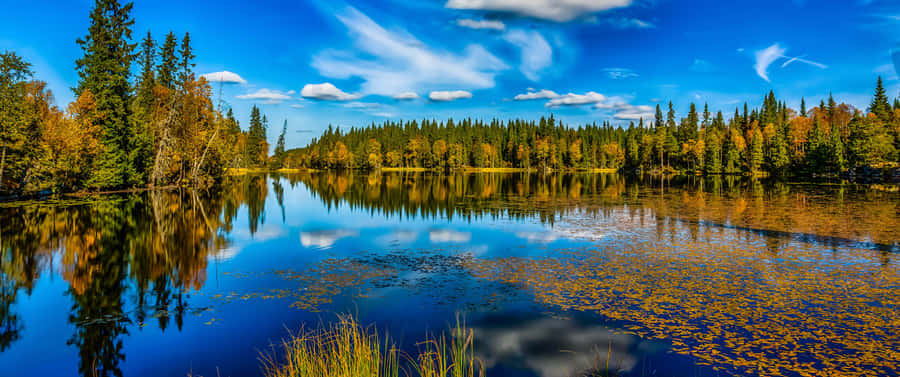 Gorgeous 3440 X 1440 4k Wallpaper Wallpaper