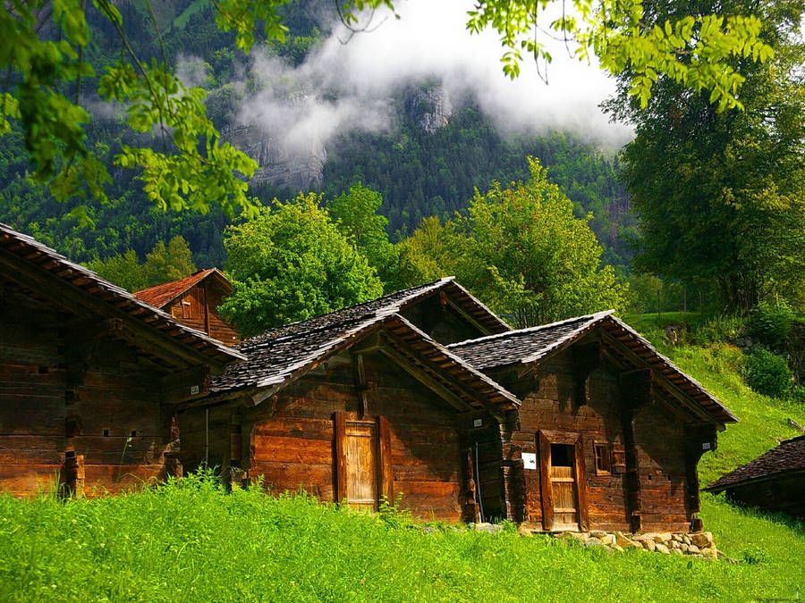 Gorgeous Wooden Bungalow Amidst Lush Greenery Wallpaper