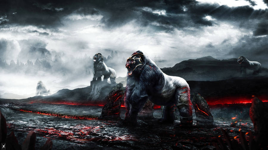 Gorilla On Burnt Lava Mountain Wallpaper