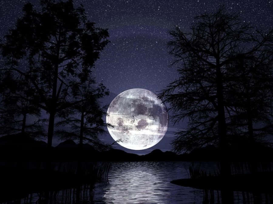 Gothic Computer Full Moon In Forest Wallpaper