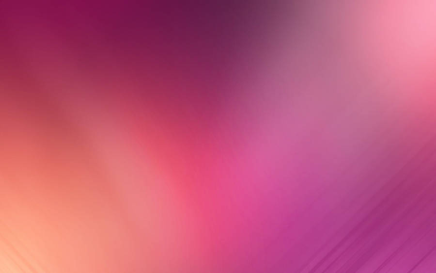 Gradient Pink Color Wallpaper