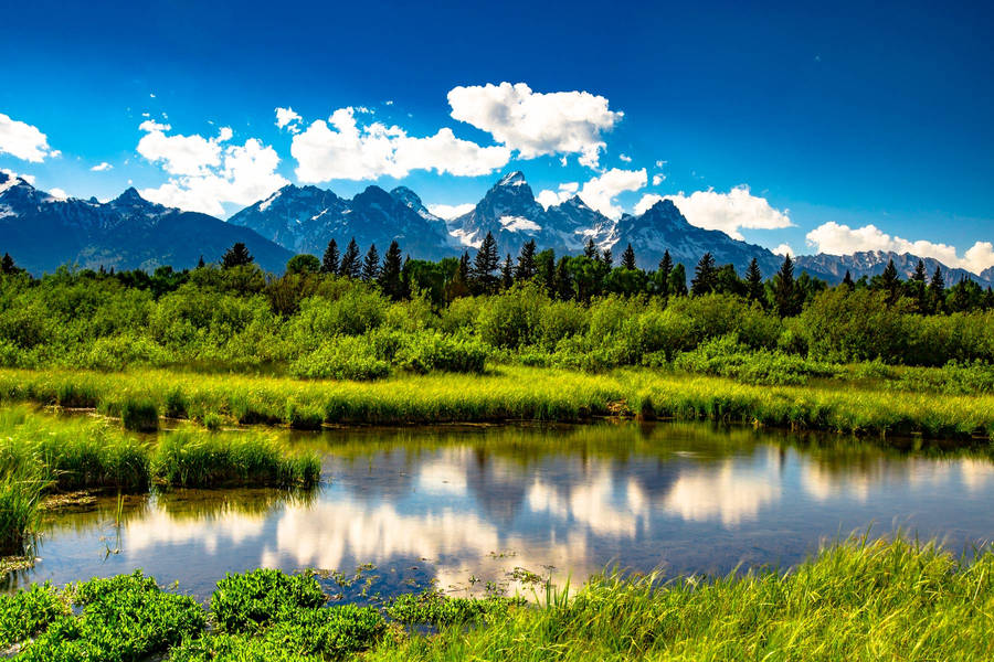 Grand Teton National Park Green Wallpaper