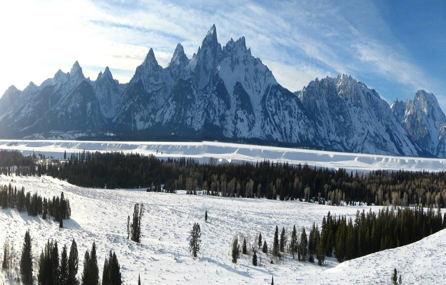 Grand Teton National Park Trees In Winter Wallpaper