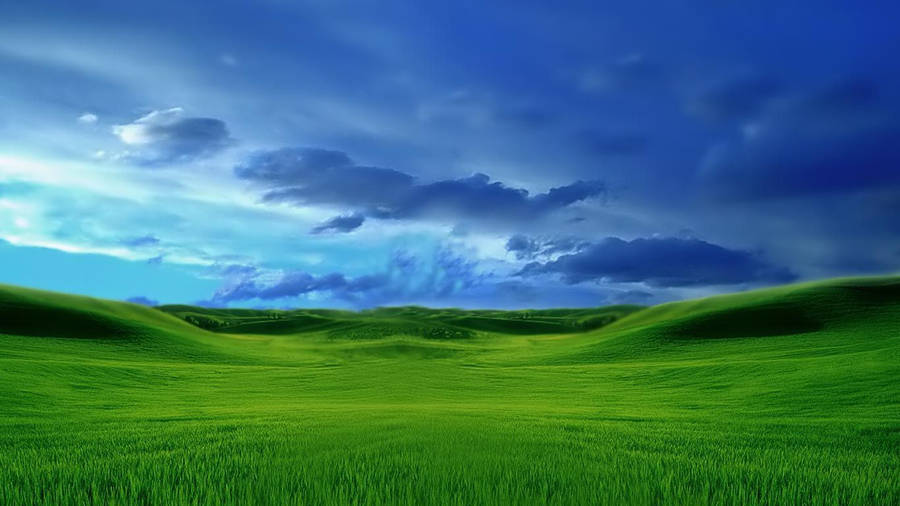 Grass Field Laptop Desktop Wallpaper