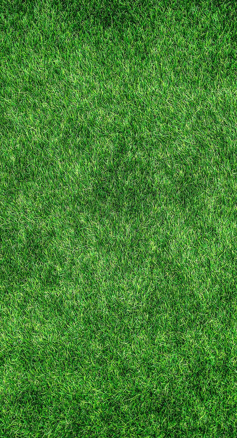 Grass Golf Phone Wallpaper