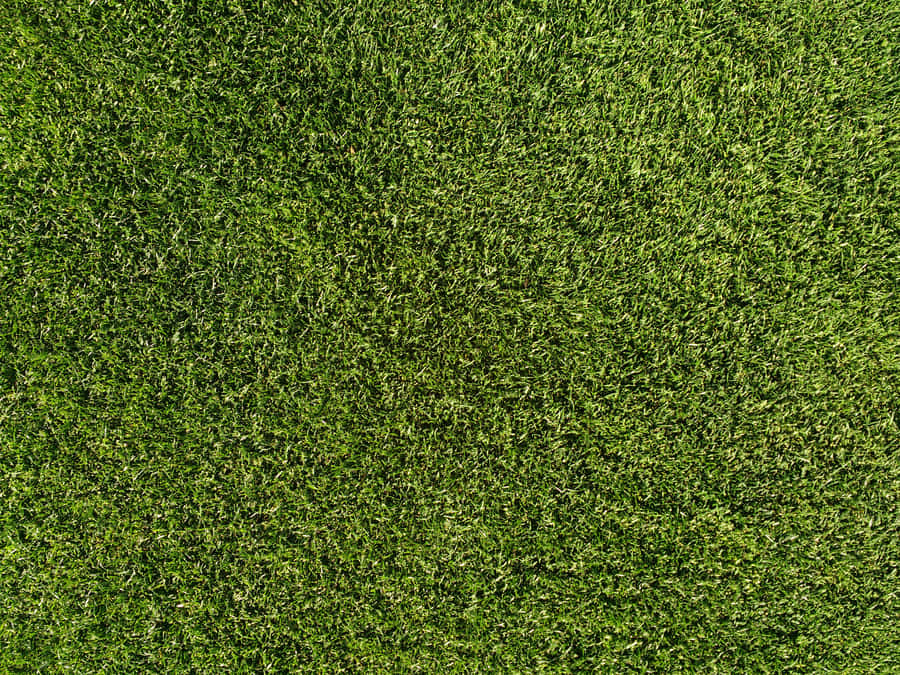 Grass Textures For Photoshop Wallpaper