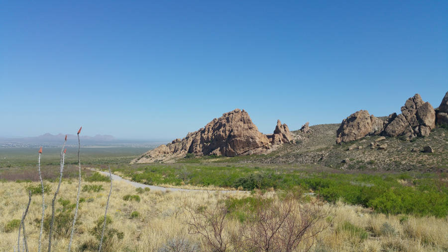 Grassy Mountain Trail In New Mexico Wallpaper