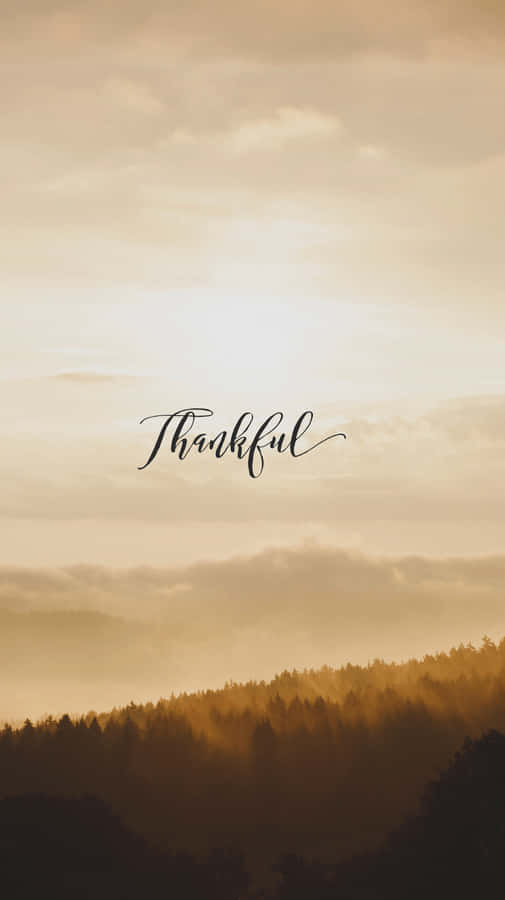 Gratitude Gold Sunset Wallpaper