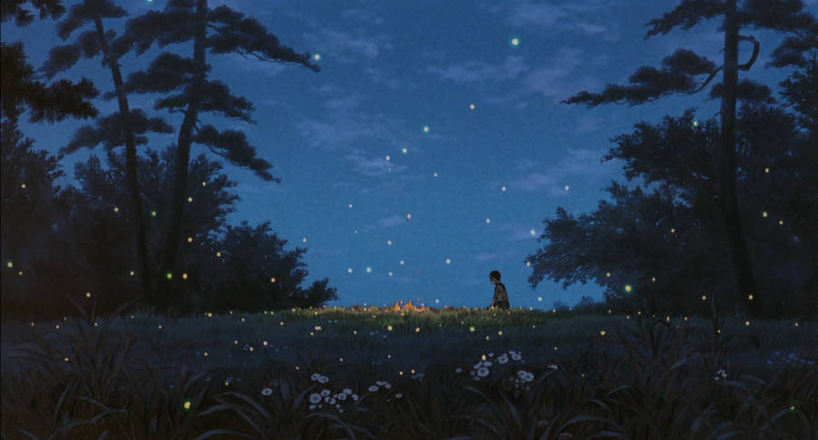 Grave Of The Fireflies Setsuko Burial Wallpaper