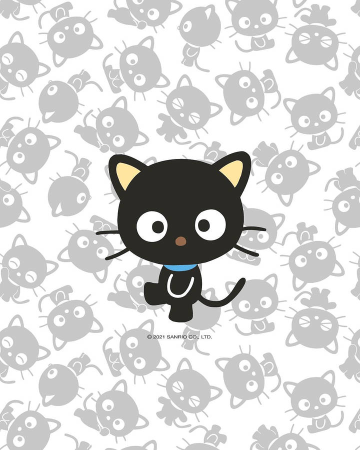 Gray And White Chococat Wallpaper