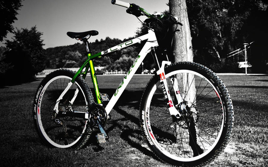 Grayscale Mtb In Tree Park Wallpaper