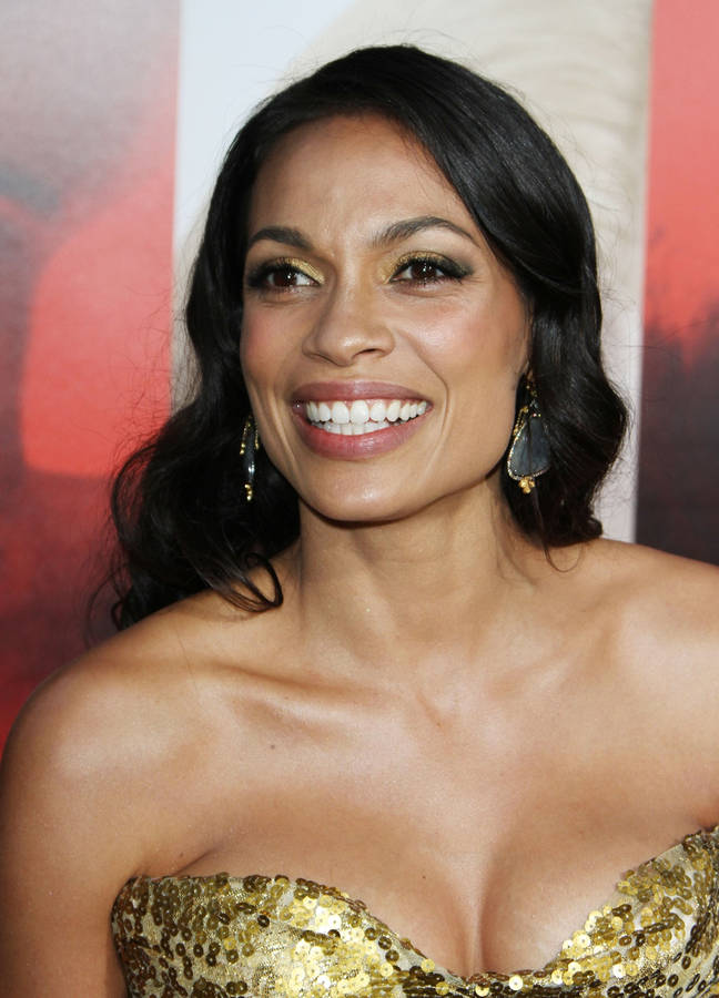 Great Artist Rosario Dawson Wallpaper