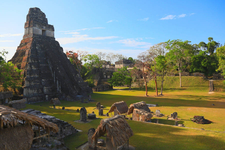 Great Jaguar Tikal Temple Guatemala Wallpaper