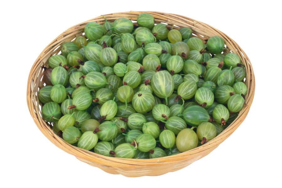 Green Burpee Gooseberry Fruit Wallpaper