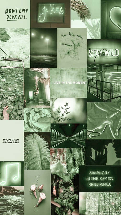 Green Collage Of Nature - Unlock Your Creativity Wallpaper