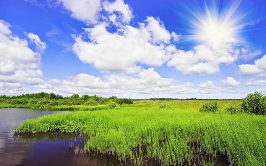 Green Fields Lake Sunny Day Wallpaper