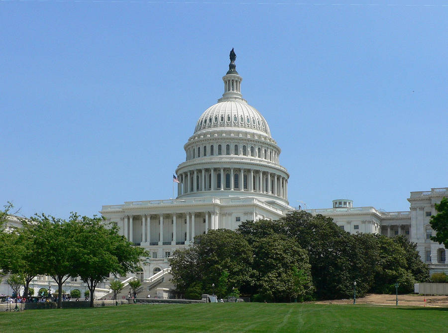 Green Grass Trees United States Capitol Wallpaper