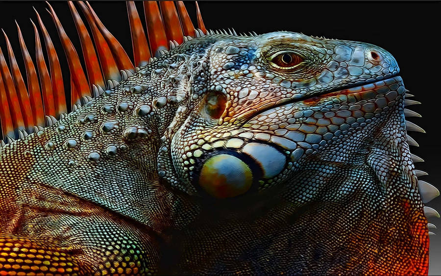 Green Iguana With Orange Crest Wallpaper