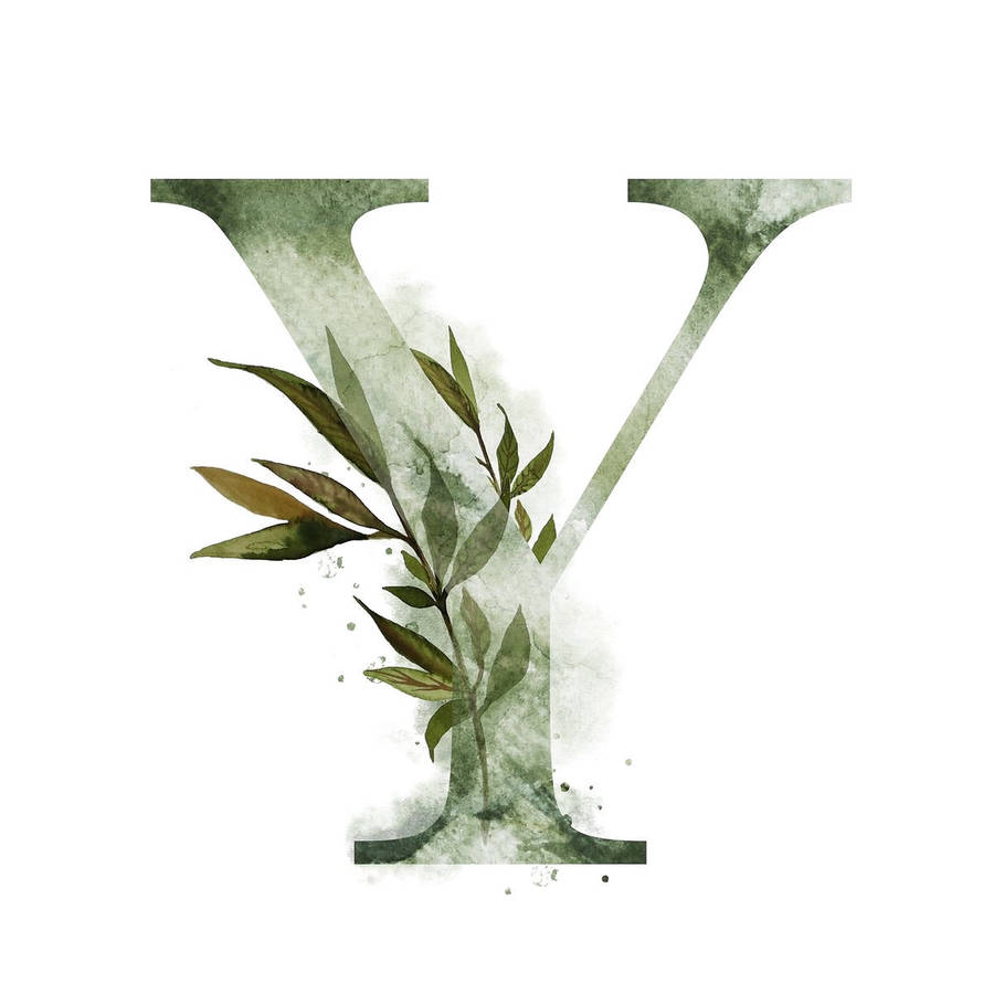 Green Letter Y Wallpaper