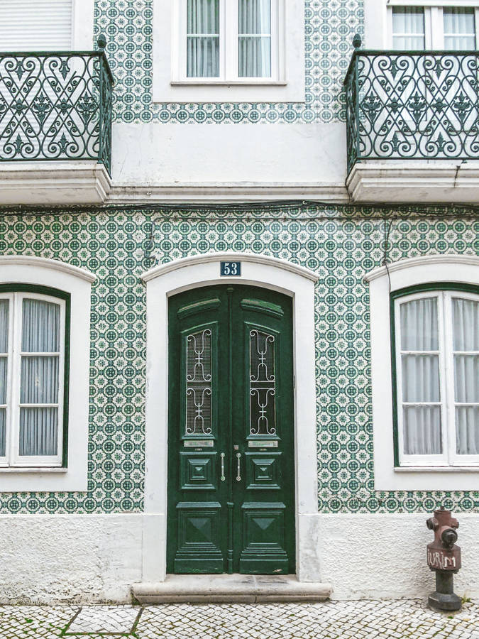 Green Main Door With Glass Design Wallpaper