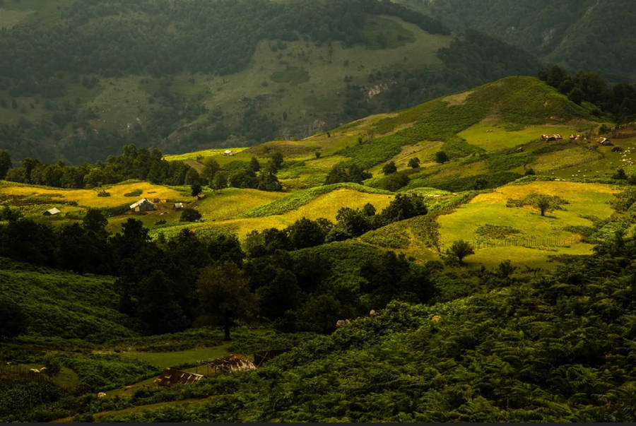 Green Mountain Fields In Iran Wallpaper