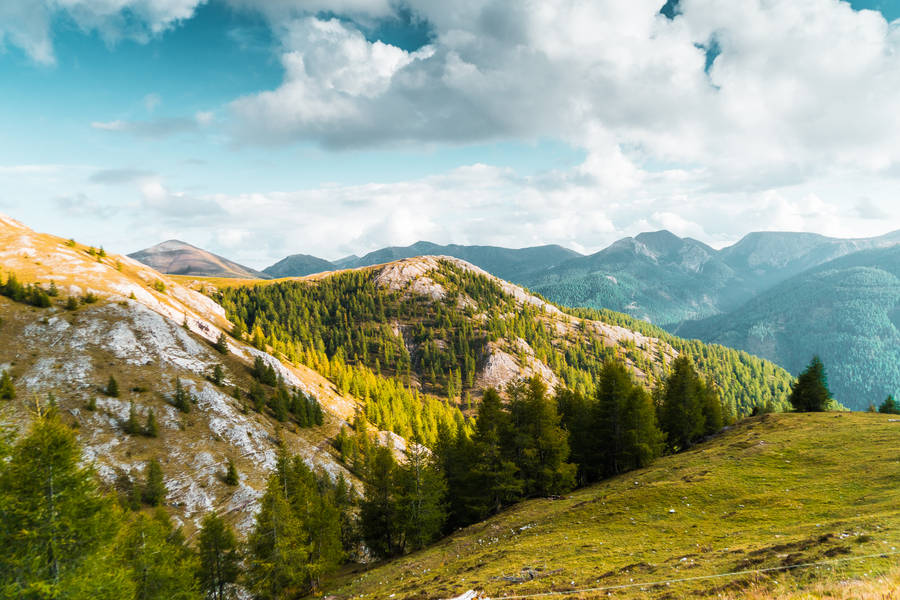 Green Mountainside Nature Scenery Wallpaper