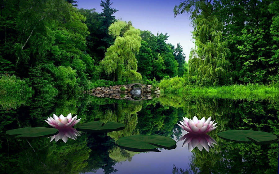 Green Nature Waterside Painting Wallpaper