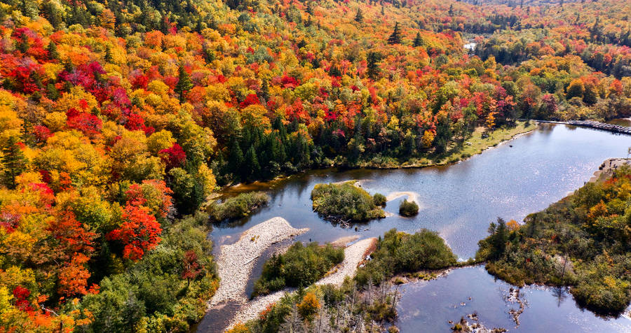 Green, Orange And Yellow Trees Autumn Wallpaper