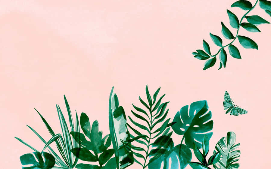 Green Potted Plant Pink Aesthetic Wallpaper