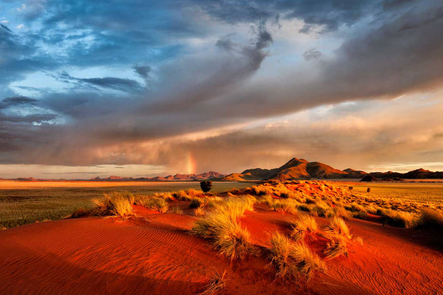 Green Scenery Sky Arizona Desert Wallpaper