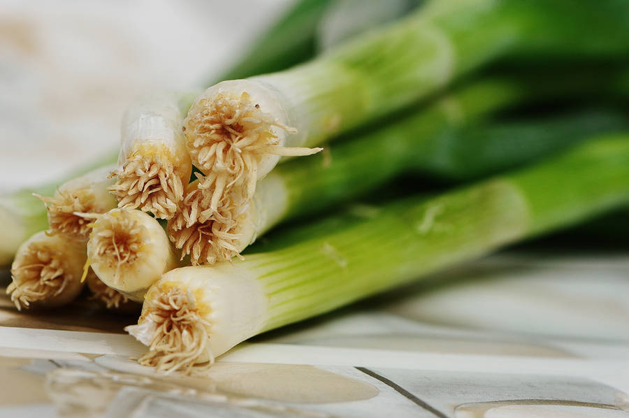 Green Spring Onions With Roots Wallpaper