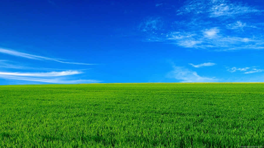 Green Valley Background Image Wallpaper