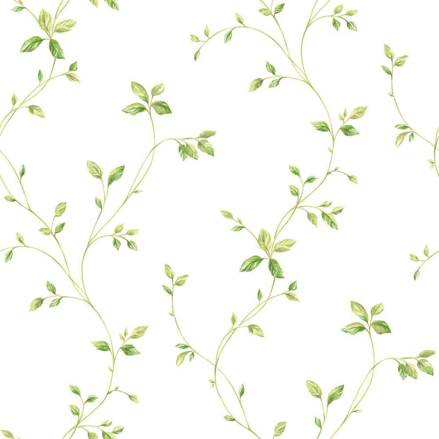 Green Vine Pattern Background Wallpaper