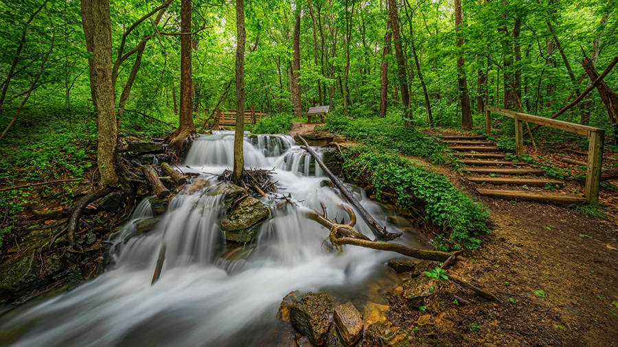 Greenery In Missouri Wallpaper