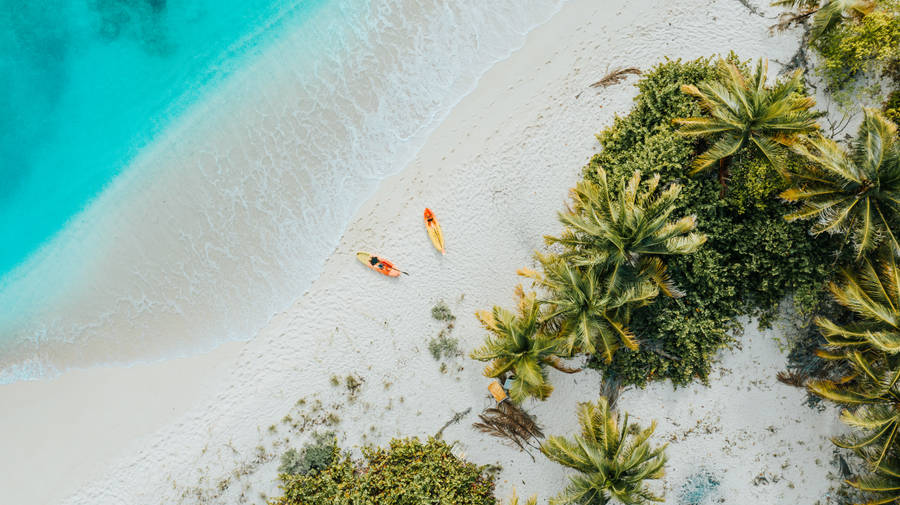 Grenada Beach Paddle Board Wallpaper