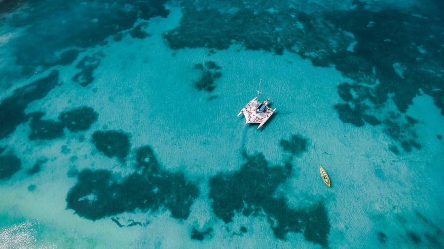 Grenada Coral Reefs Wallpaper