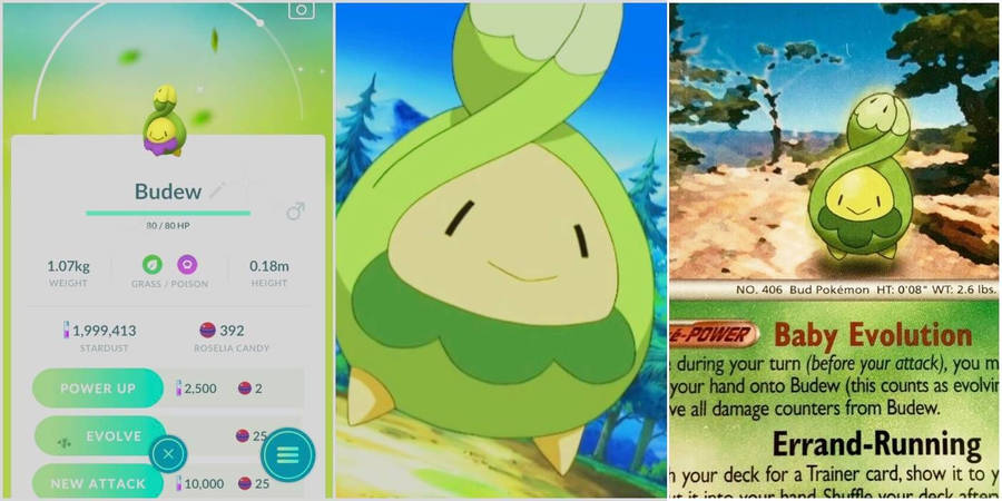 Grid Collage Of Budew Wallpaper