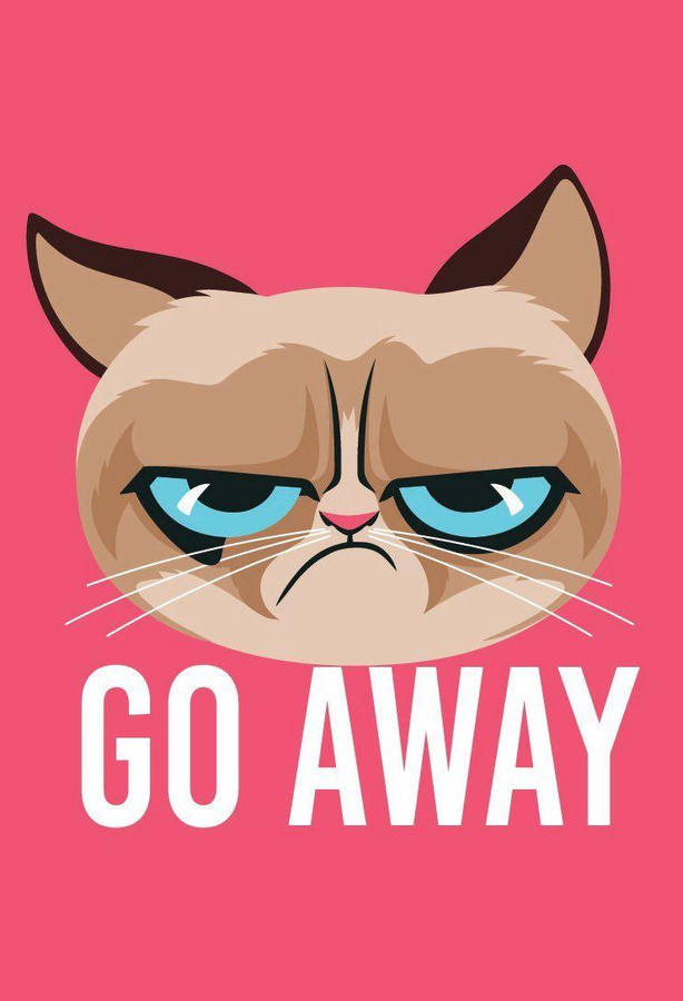 Grumpy Cat Meme Wallpaper WallpapersOK Grumpy Cat Meme Wallpaper WallpapersOK