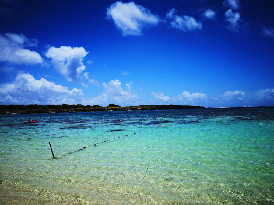 Guadeloupe Plage De Bois Jolan Wallpaper