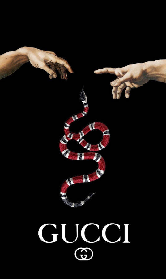 Gucci Snake Creation Touch Wallpaper