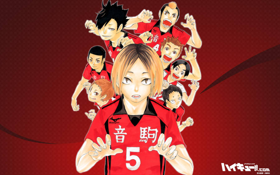 Haikyuu Teams Nekoma High School Wallpaper