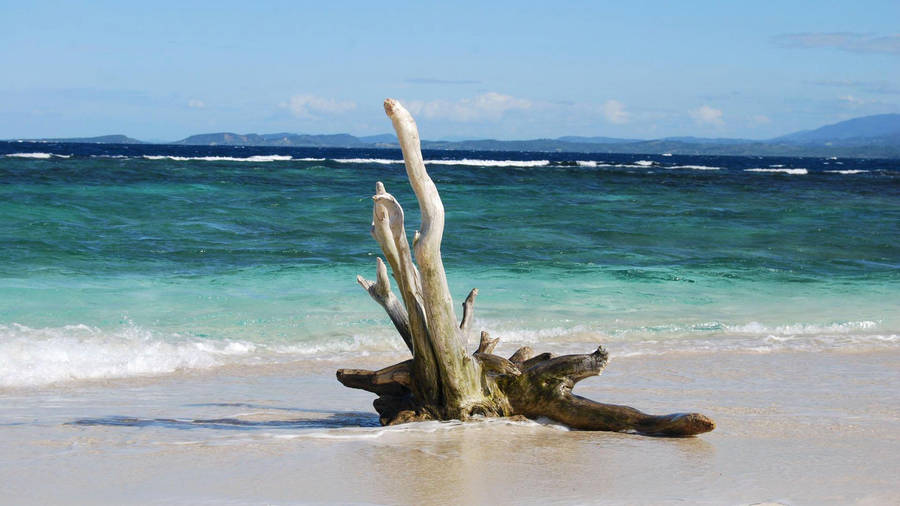 Haiti White Sand Shoreline Wallpaper