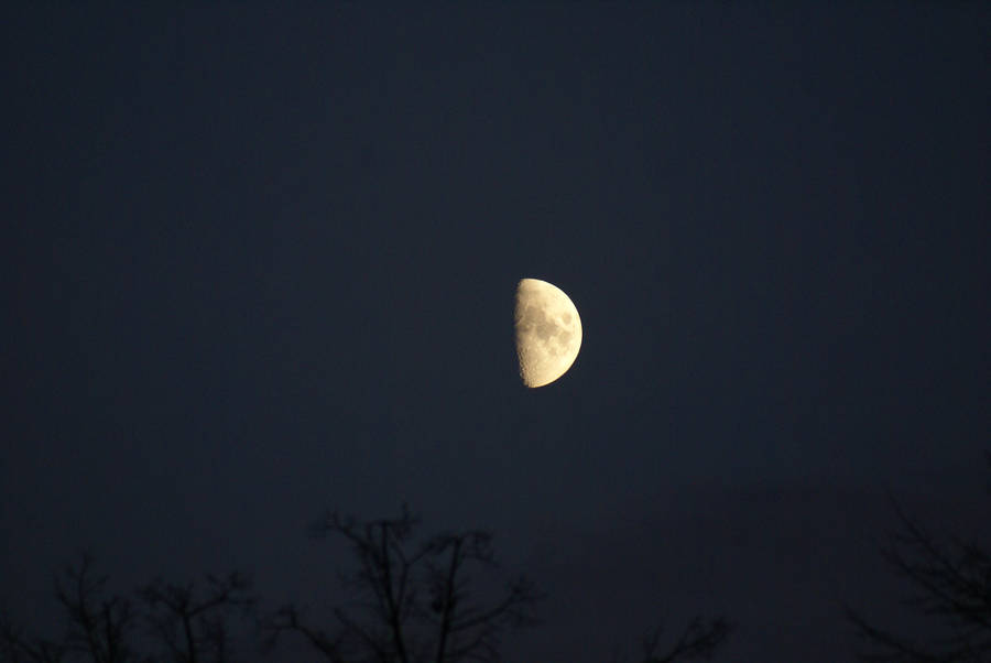 Half Moon In Dark Sky Moonlight Wallpaper