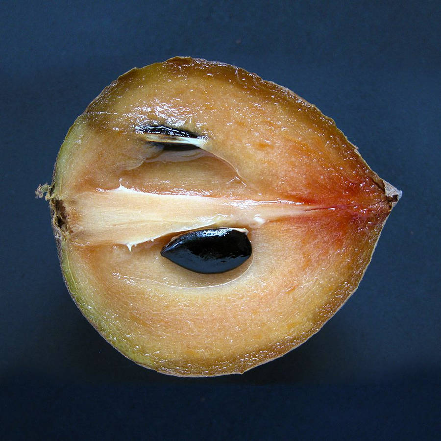 Half Sliced Sapodilla Fruit Wallpaper