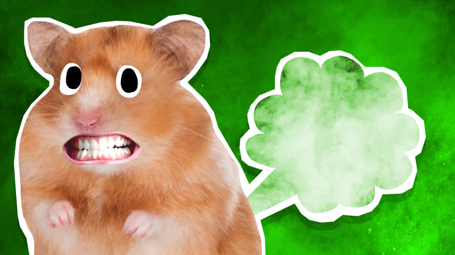 Hamster_ Fart_ Cartoon_ Illustration Wallpaper