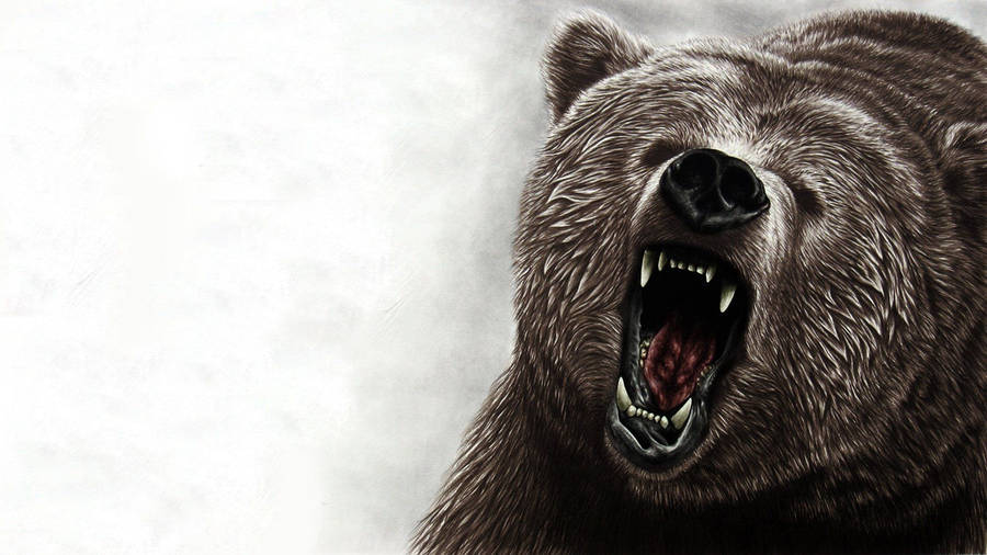 Hand-drawn Kodiak Bear Illustration Wallpaper