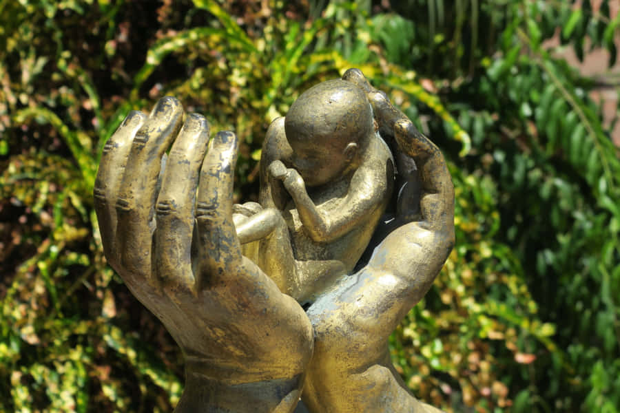 Hands Shielding Baby - Conceptual Representation Of Anti-abortion Wallpaper