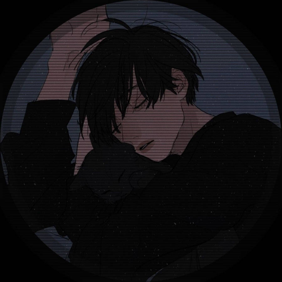 Handsome Anime Boy And Cat Grunge Pfp Wallpaper