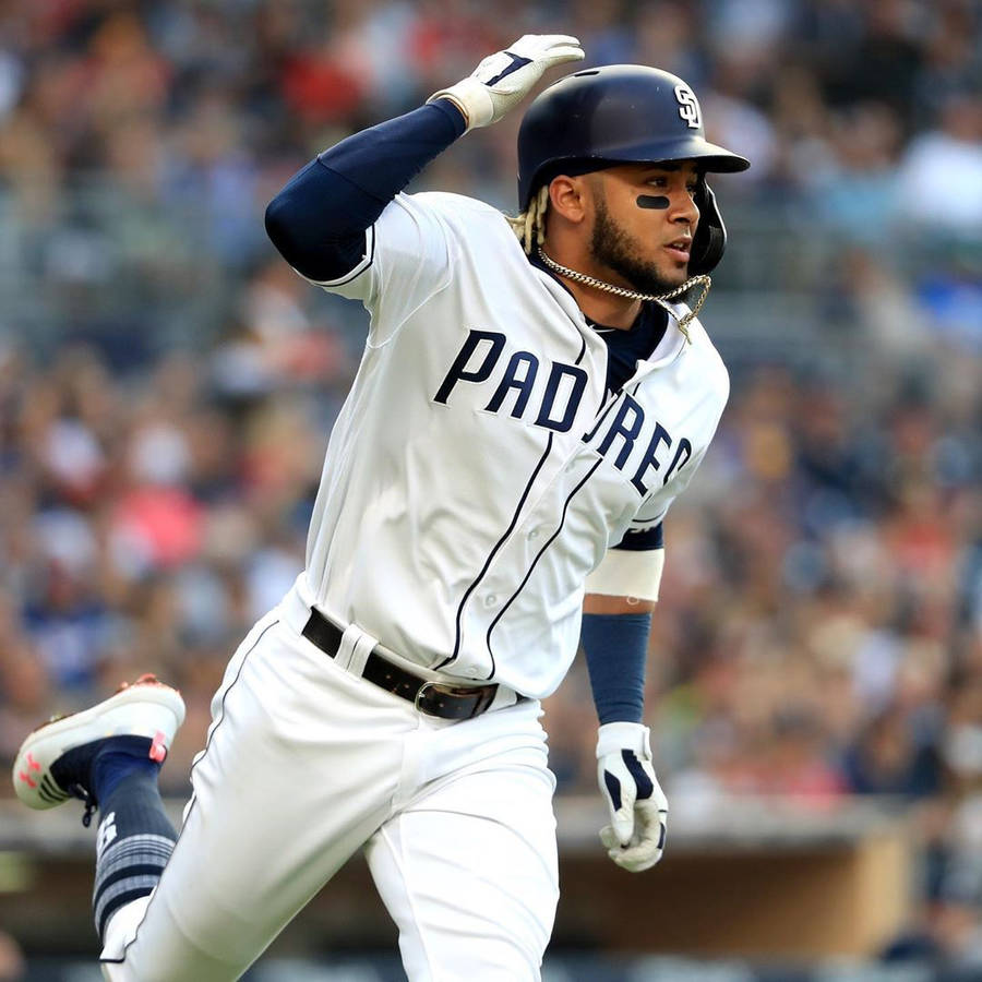 Handsome Fernando Tatis Jr Wallpaper