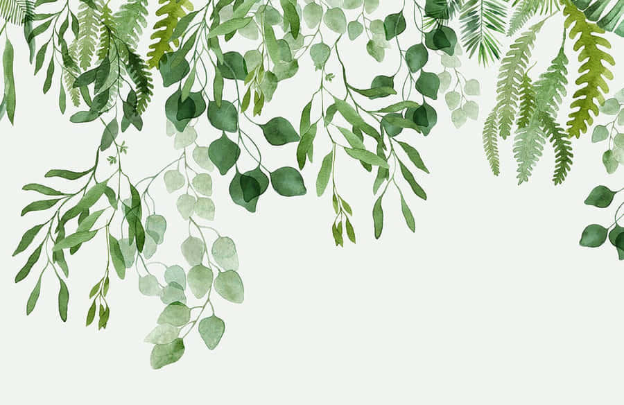 Hanging Green Vines Watercolor Illustration Wallpaper